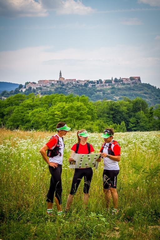 Apartmani Xenia&Desiderio Buzet Bagian luar foto